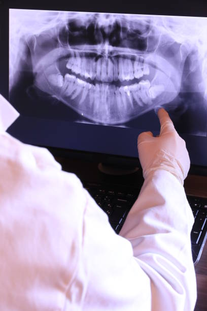 Best Emergency X-Rays and Diagnostics in Whitehouse, TX